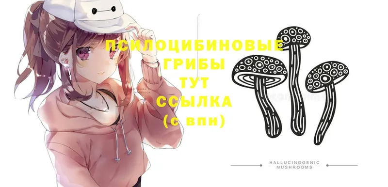 как найти наркотики  ОМГ ОМГ как войти  Галлюциногенные грибы MAGIC MUSHROOMS  Приволжск 